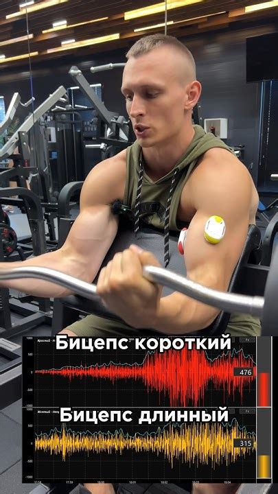 Хочешь заниматься по моей персональной программе?Telegram ...