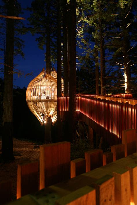 Gallery Of Yellow Treehouse Restaurant Pacific Environments 17