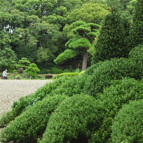 evergreen kens gardens