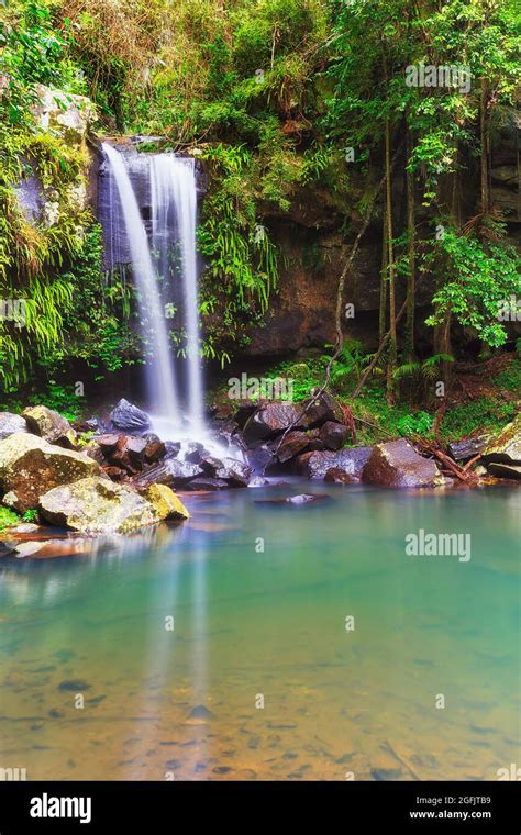 Scenic Tamborine Waterfall On Mt Tamborine In Queensland Rainforest Of