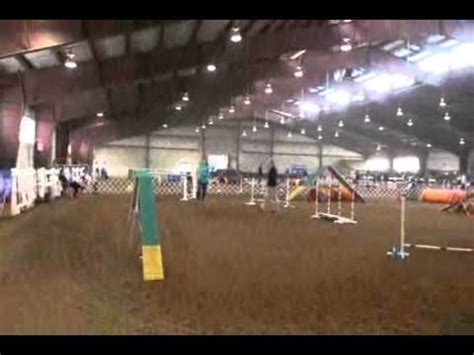 Mia Akc Agility Nationals Isc Standard Youtube