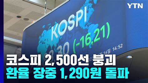 코스피 2500선 아래로환율 한때 1290원 돌파 Ytn Youtube