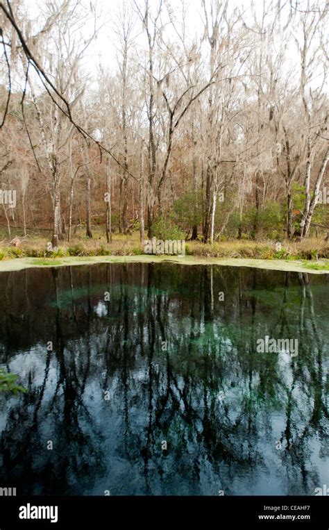 Ichetucknee Springs State Park Blue Hole Florida North America Usa