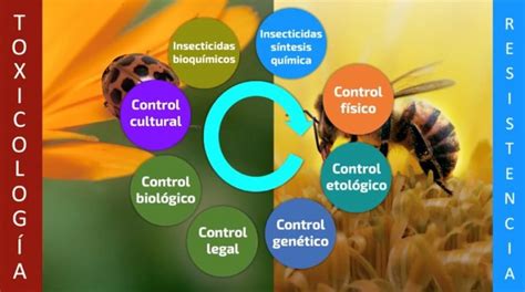 Reconfiguración del Manejo Integrado de Plagas Agrícolas Instituto ENTOMA