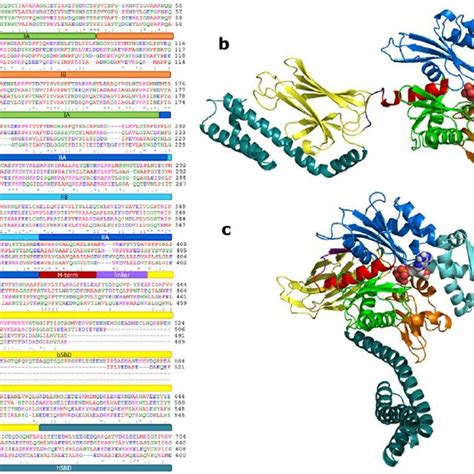 Protein Sequences And Structures A Sequence Alignment Of Human Download Scientific Diagram