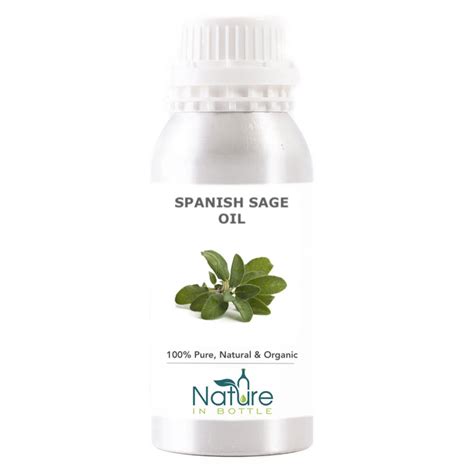 Spanish Sage Essential Oil Organic Salvia Lavandulifolia