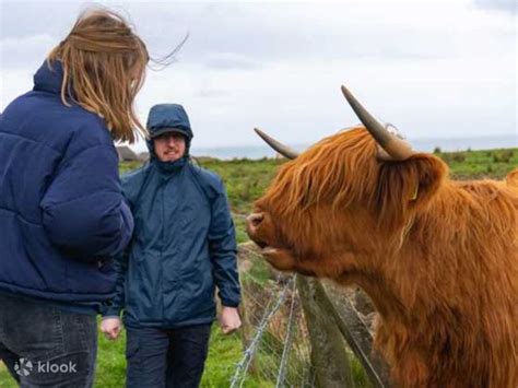 Cawdor Castle And Cairngorms National Park Tour From Edinburgh Klook