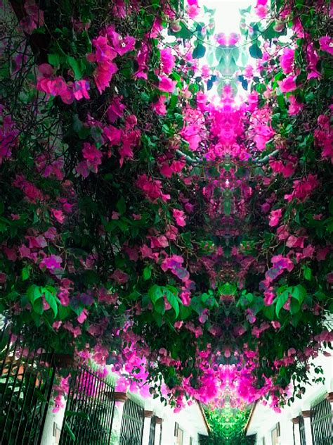 What Does Biological Community Mean - RYZE Superfoods