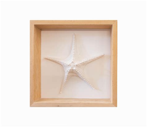 Arozarena De La Fuente Beach Lovers Clay Wall Art Starfish