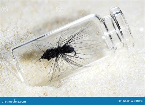 Artificial Fly For Fishing Stock Photo Image Of Recreation 112535152