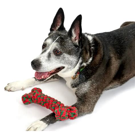 Jax And Bones Dog Toy Holiday Bone Rope 11