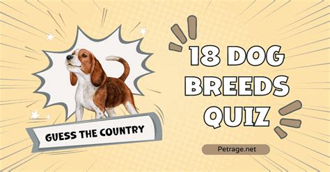 18 Dog Breeds Quiz Name The Country Petrage