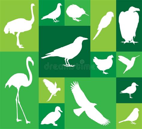 Set Of Bird Icons Stock Vector Illustration Of Ostrich 113148810