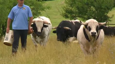 Southern Iowa Farmers Hope Their Drought Concerns Are Over