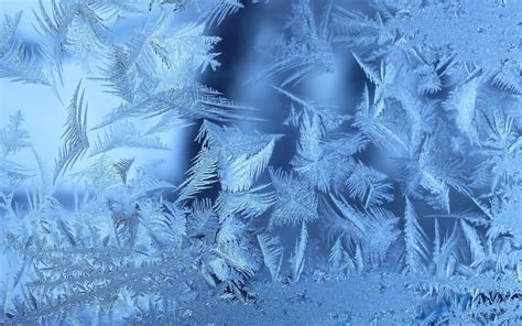 Frozen Ice Flowers Window Glass Wallpapers Wallpaper Cave