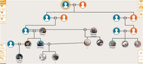 My cat family tree : r/UsefulCharts