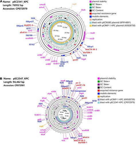 Frontiers Complete Genome Sequences Of Two Novel Kpc Producing Incu