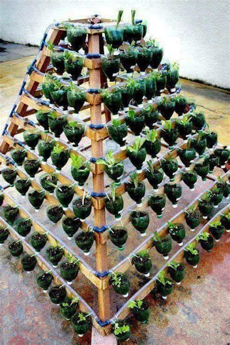 Botellas de plástico recicladas para la huerta casera Construccion y