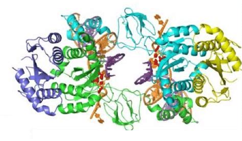 Structure Du Double Domaine Ntd Ccd Et Ccd Ctd De L Int Grase Du Vih