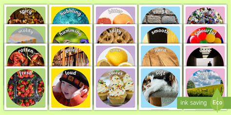 Sensory Words Photo Display Pack Teacher Made Twinkl