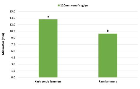 Voorkom Oorvet Karkasse N Voerkraalbenadering Agriorbit