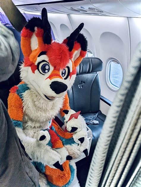 Being Furry On A Plane Is So Much Fun Rfurry