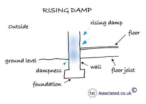 Rising Damp Condensation And Damp Through Your Walls