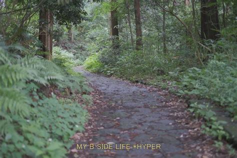 僕の行く道 2夏至の頃こども自然公園 My B Side Life Hyper