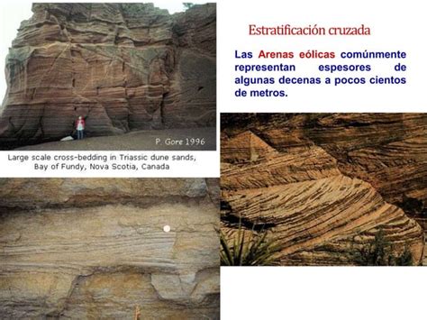 Clase 4 Estructuras Sedimentarias Pptx