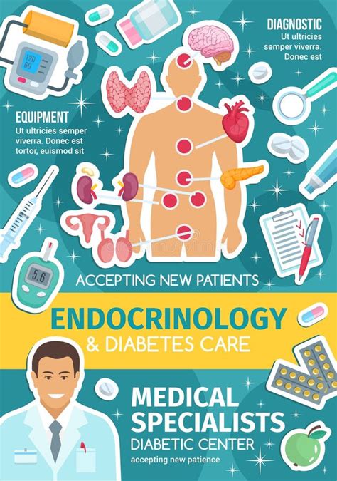 Endocrinology Medical Poster With Endocrine System Stock Vector