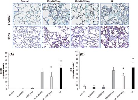 Oxidative Stress 8 Ohdg And Lipid Peroxidation 4hne In Irradiated Download Scientific