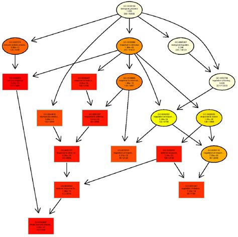 An Abridged Directed Acyclic Graph Representation Of Gene Ontology Go