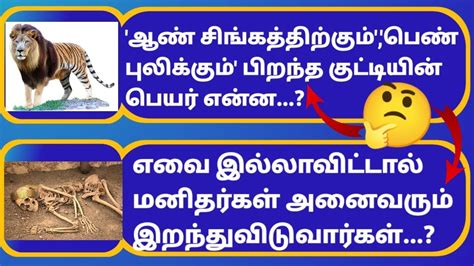 Top Interesting Questions In Tamil Unknown Facts Tamil Gk Part