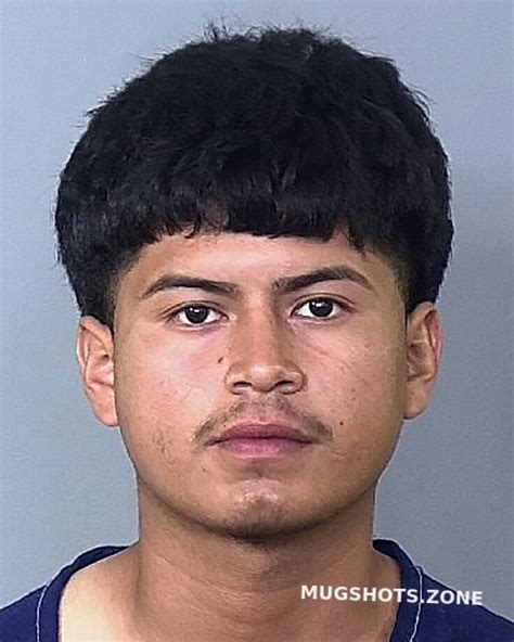 Santana Santana Ivan Manatee County Mugshots Zone