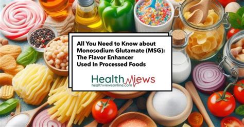 All You Need To Know About Flavor Enhancer Monosodium Glutamate Msg