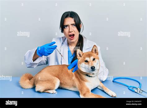 Beautiful Hispanic Veterinarian Woman Putting Vaccine To Puppy Dog