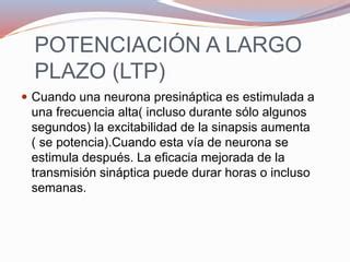 Integracion Sinaptica Ppt