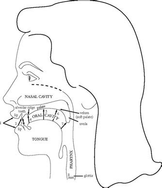 Place of Articulation - English Phonology