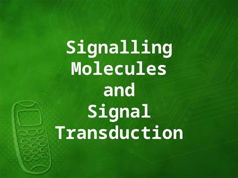 Ppt Signalling Molecules And Signal Transduction Signalling