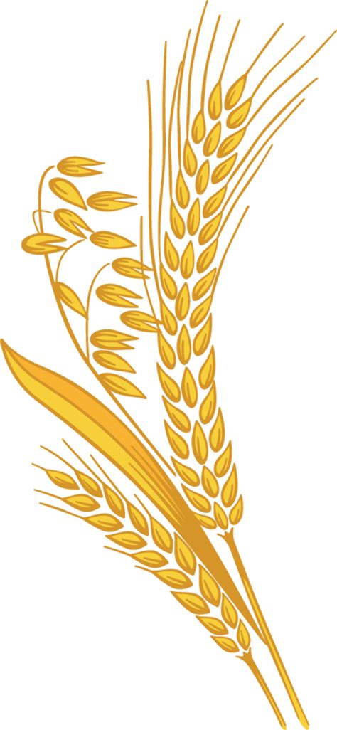 Download High Quality wheat clipart round Transparent PNG Images - Art Prim clip arts 2019