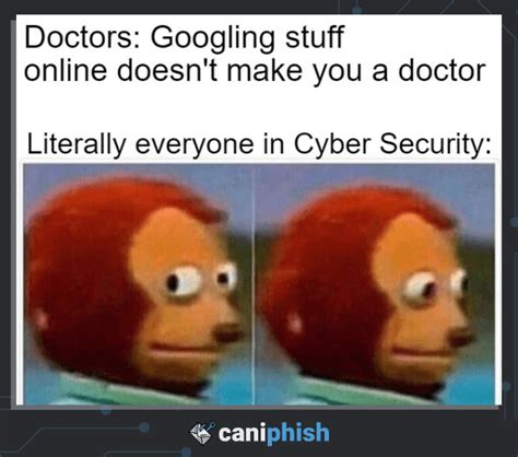 The Top 30 Cyber Security Memes Of 2025 Caniphish