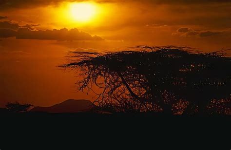 Premium Photo Sunset Or Sunrise Sky In Africa Natural Background