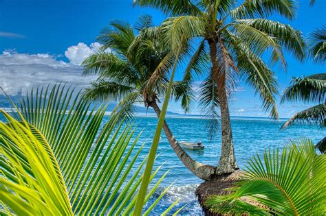 100+ Free Tahiti & Bora Bora Images - Pixabay