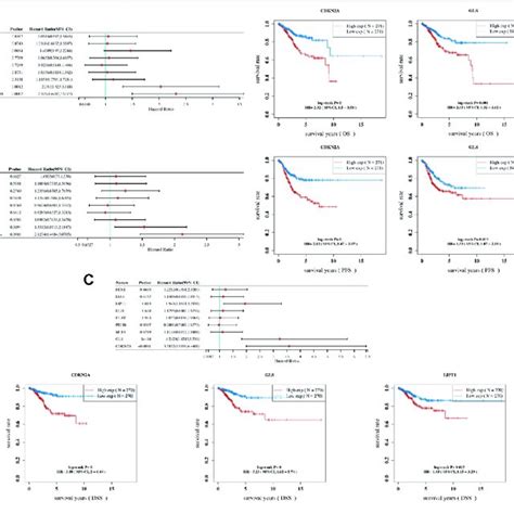 A Cuproptosis Related Prognostic Signature In Uterine Corpus