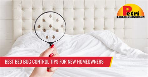 Best Bed Bug Control Tips For New Homeowners Petri Pest