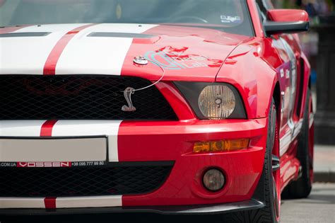 Mustang Car Photos, Download The BEST Free Mustang Car Stock Photos ...