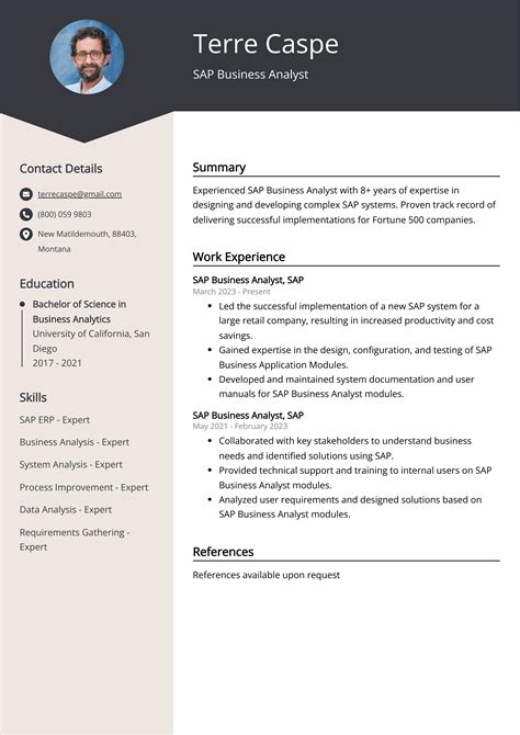 Sap Business Analyst Cv Examples Template Tips