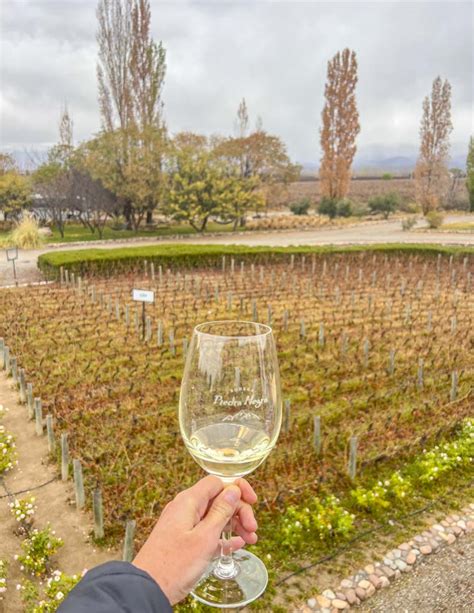 25+ Best Wineries of Mendoza: Ultimate Wine Tasting Guide