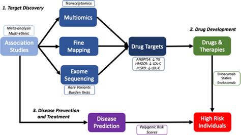 A Workflow For Drug Discovery This Diagram Demonstrates A General