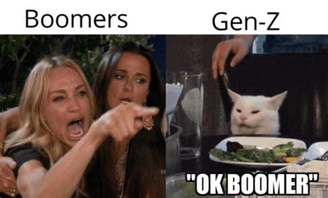 Hilarious Gen Z Memes That Sum Up The Culture Divide